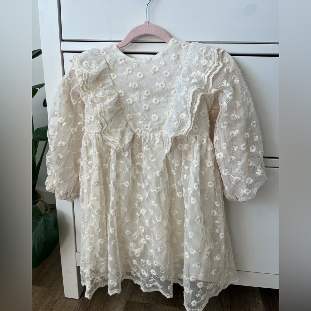 Zara Floral Embroidered Dress